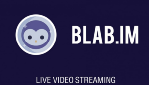 Blab live video streaming - Beginner's Guide to Using Live Streaming (How to Guide)