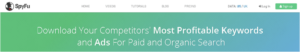 download your competitor's most profitable keywords