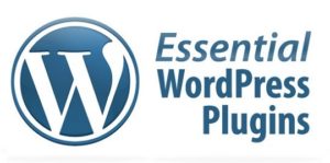 eassential wordpress plugins for speed optimisation